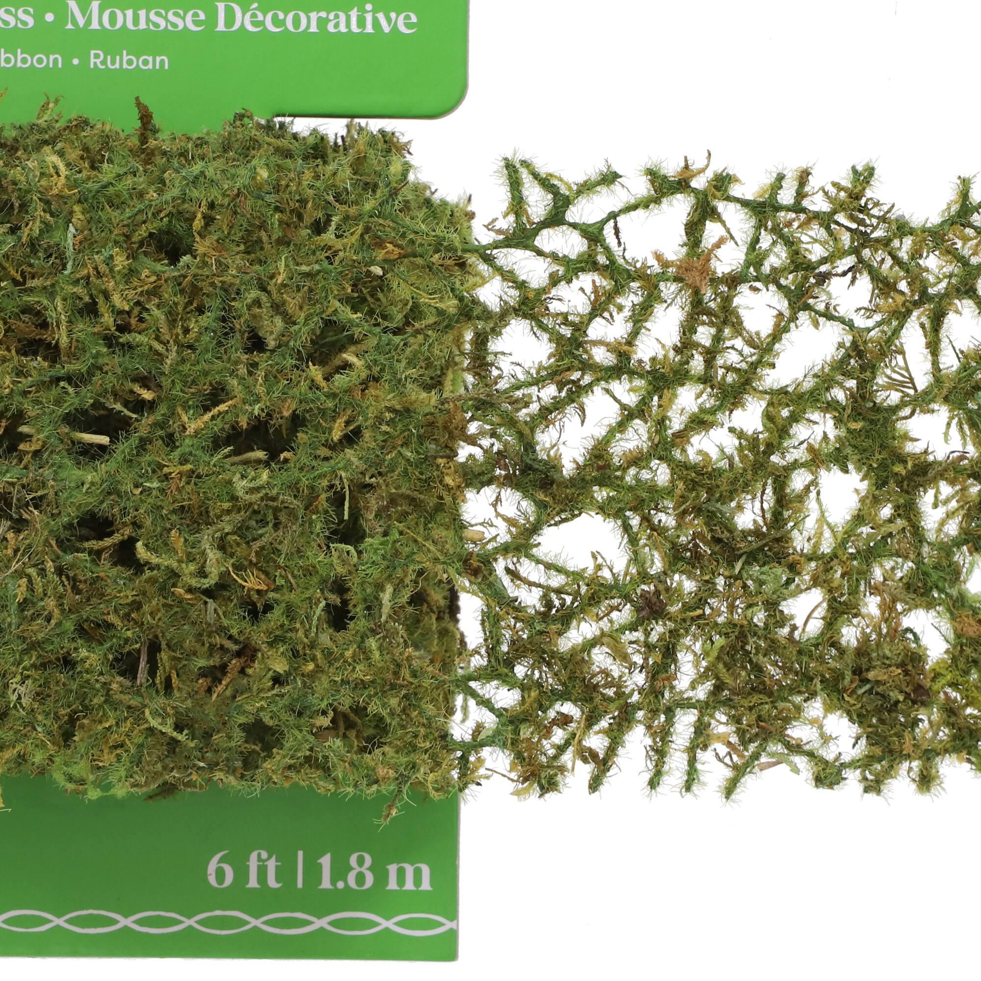 6ft. Green Decorative Moss Ribbon by Ashland®